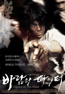 Baramui paiteo / Fighter in the Wind (2004)