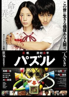 Puzzle (2014)