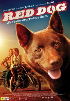 Red Dog (2011)