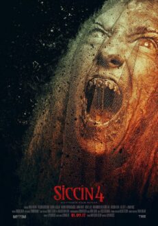 Siccin 4 (2017)