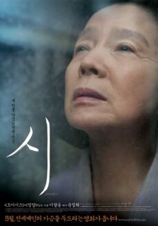 Shi (2011)