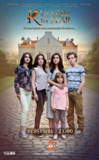 Aripi Frante (2017)