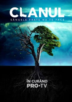 Clanul, Sezon 3, Episodul 13