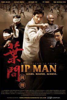 Yip Man chin chyun (2010)
